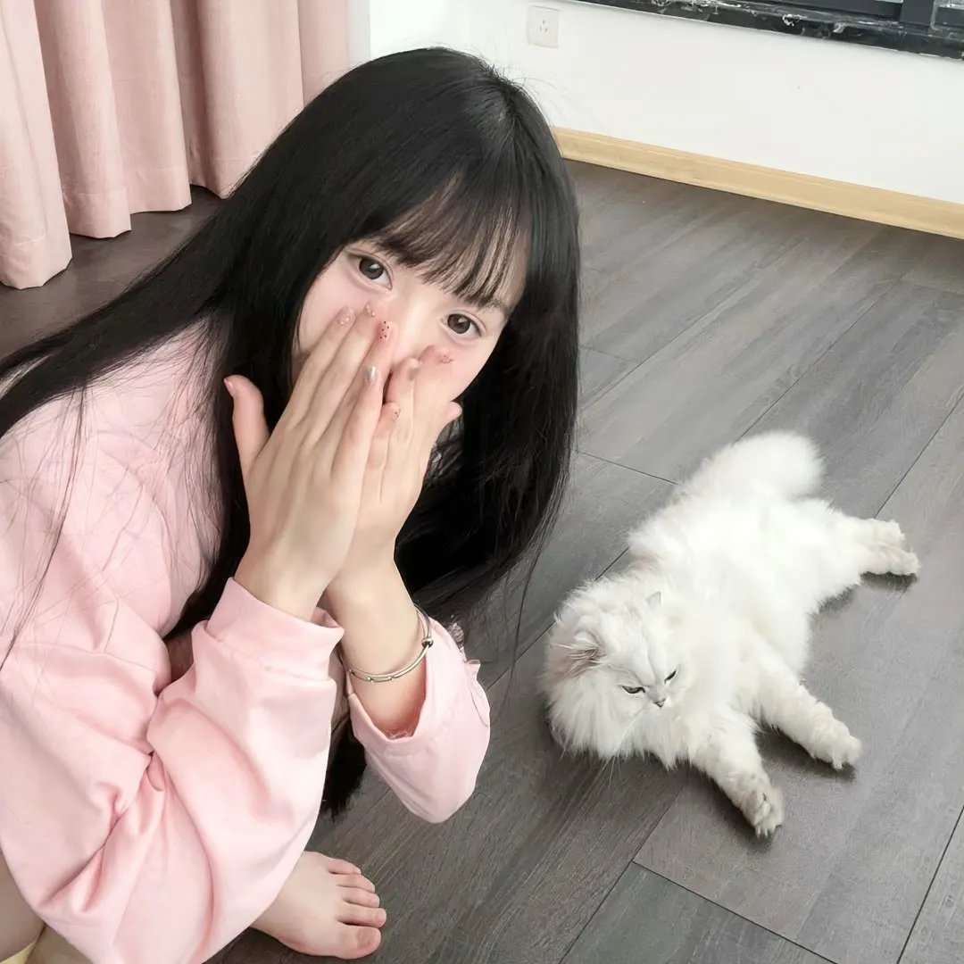 女导与强盗